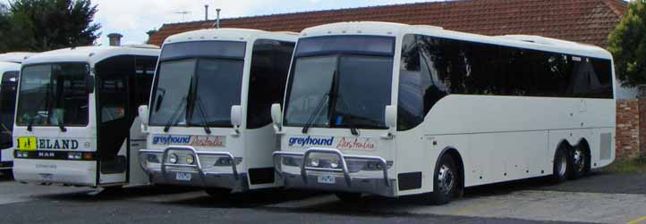 Greyhound Australia Mercedes O500RF Coach Design 83 & 81